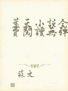 叶天小说全文免费阅读无弹窗封面