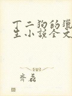 丁二狗的猎艳人生小说全文无删减封面