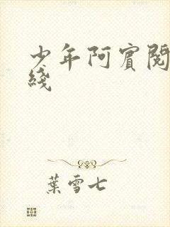 少年阿宾阅读在线