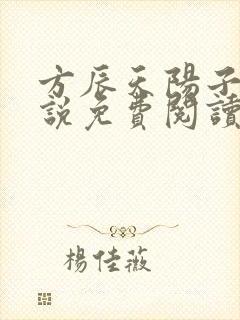 方辰天阳子的小说免费阅读封面