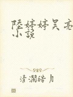 陆婷婷吴亮吴刚小说