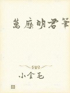 万历明君笔趣阁