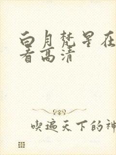 白月梵星在线观看高清封面