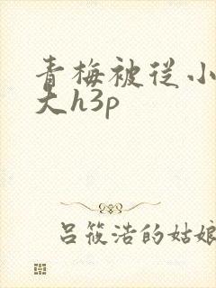 青梅被从小摸到大h3p
