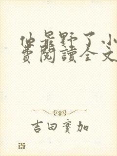 他最野了小说免费阅读全文