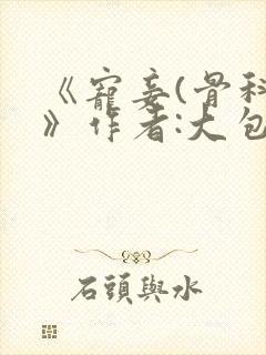 《宠妾(骨科)》作者:大包子封面