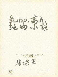 乱np,高h,纯肉小说