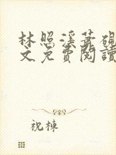 林照溪萧砚川全文免费阅读封面