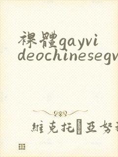 裸体gayvideochinesegv封面