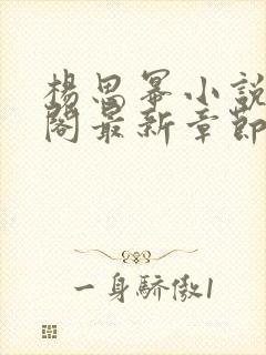 杨思幂小说笔趣阁最新章节