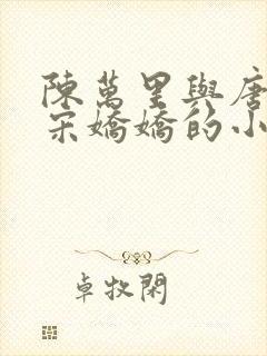 陈万里与唐嫣然宋娇娇的小说叫什么