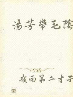 汤芳带毛阴部