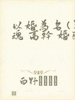 以婚为名 (军魂 高干 婚恋)