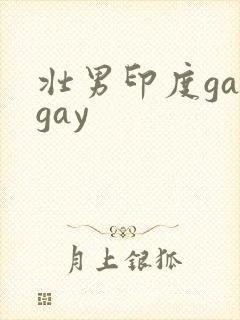 壮男印度gaygay