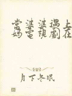 当婆婆遇上的妈妈电视剧在线观看