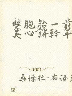 双胞胎一前一后夹心饼干年下封面