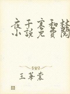 夜千寒和林苏苏小说免费阅读