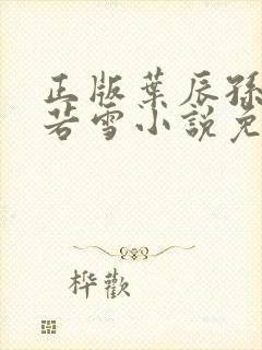 正版叶辰孙怡夏若雪小说免费阅读