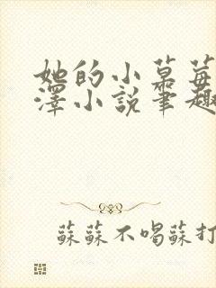 她的小草莓魏承泽小说笔趣阁