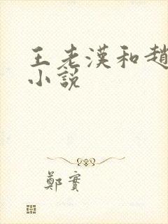 王老汉和赵媛媛小说封面