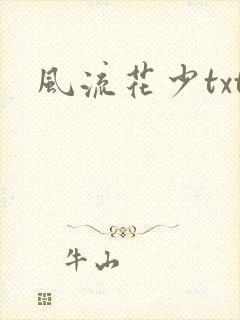 风流花少txt