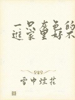 一只灰色的鸟飞进家里好不好