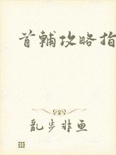 首辅攻略指南封面