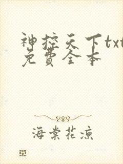 神控天下txt免费全本