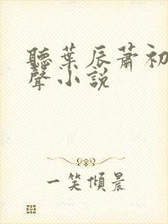 听叶辰萧初然有声小说封面