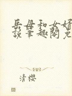 岳母和女婿的小说笔趣阁免费阅读