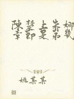 陈楚上朱娜妈的章节是第几章封面