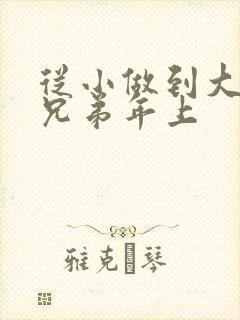 从小做到大骨科兄弟年上