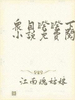 众目睽睽下的事小说免费阅读笔趣阁