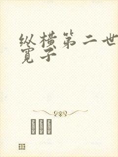纵横第二世界 宽子封面