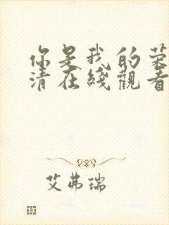 你是我的荣耀高清在线观看