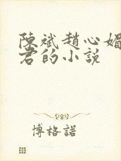 陈斌赵心媚高婉君的小说封面