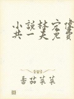 小说林宏伟三女共一夫免费阅读