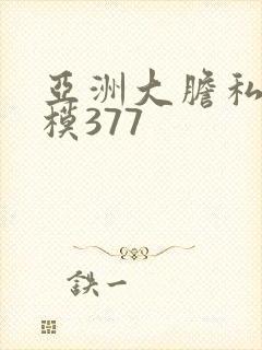 亚洲大胆私拍国模377封面