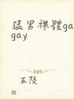 猛男裸体gaygay封面