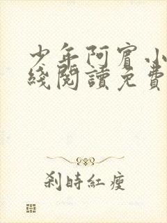 少年阿宾小说在线阅读免费