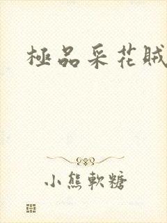 极品采花贼