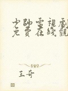 少帅电视剧全集免费在线观看