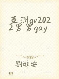亚洲gv2022男男gay