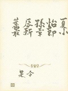 叶辰孙怡夏若雪最新章节小说心