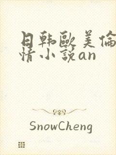 日韩欧美伦理激情小说an