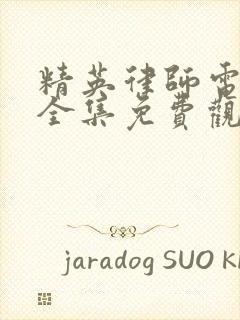 精英律师电视剧全集免费观看完整版高清