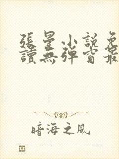 张曼小说免费阅读无弹窗最新章节