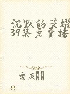 沉默的荣耀1—39集免费播放