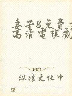 妻子8免费完整高清电视剧在线看