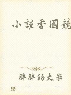 小说香国竞艳